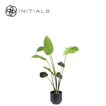 Pot Scalas Ceramic Black